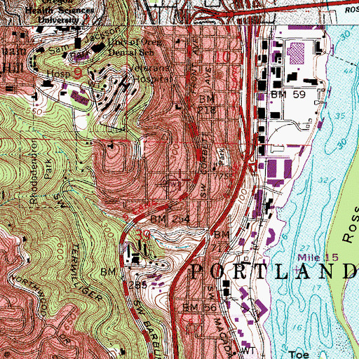 Topographic Map of Bancroft (historical), OR