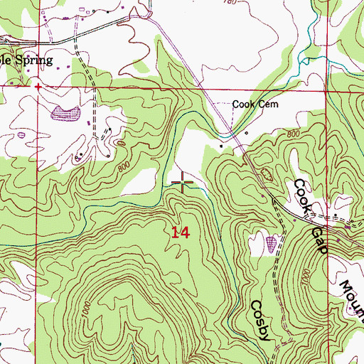 Topographic Map of Cosby Hollow, AL