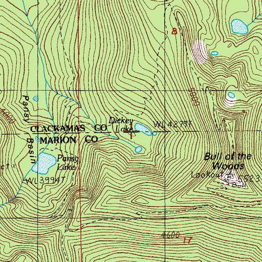 Topographic Map of Dickey Lake, OR
