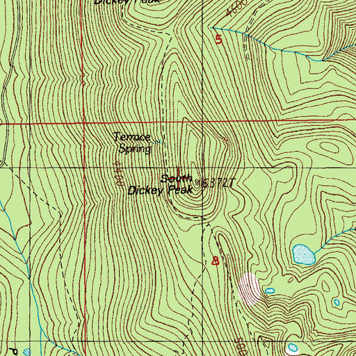 Topographic Map of South Dickey Peak, OR