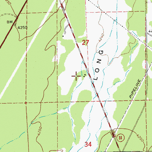 Topographic Map of Springer Ranch, OR
