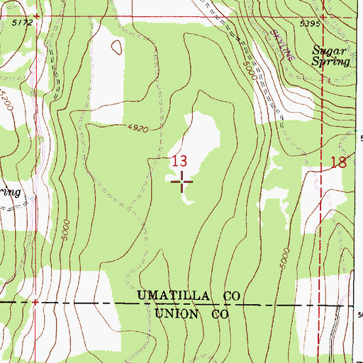 Topographic Map of Swamp Creek Corral (historical), OR