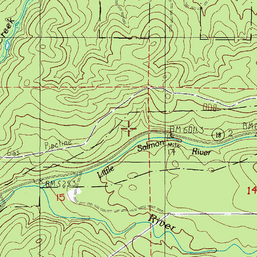 Topographic Map of Salmon River State Forest Service Station, OR