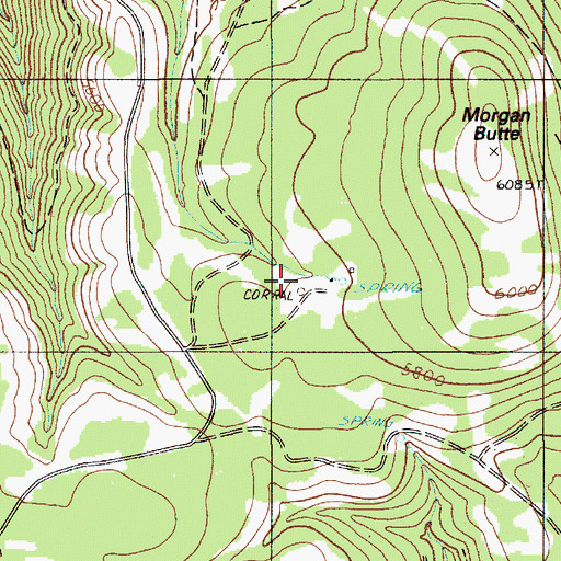 Topographic Map of Mahogany Cow Camp, OR