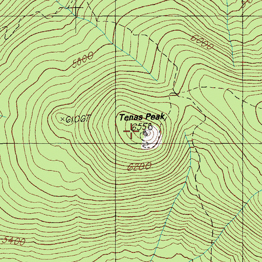 Topographic Map of Tenas Peak Lookout Station, OR
