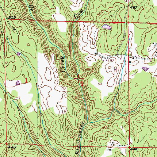 Topographic Map of Cow Branch, AL