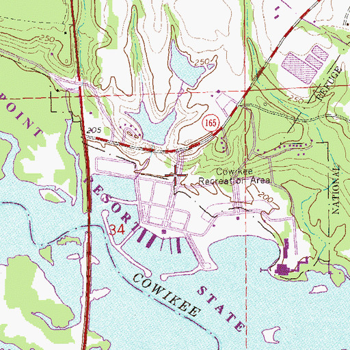 Topographic Map of Cowikee Recreation Area, AL