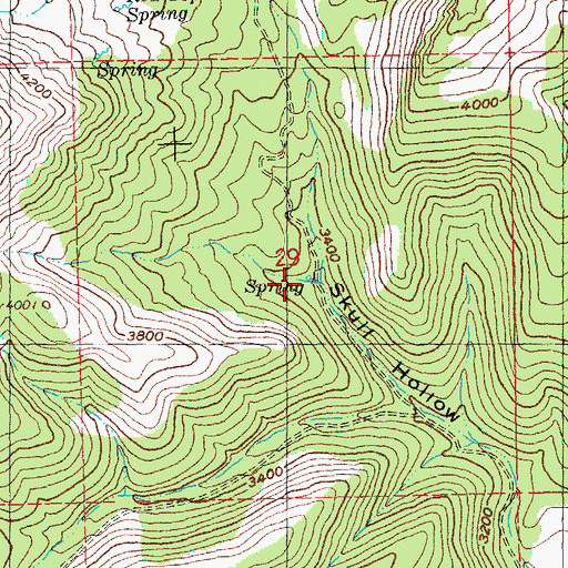 Topographic Map of Lower Skull Hollow Spring, OR