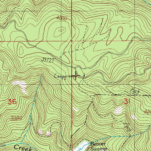 Topographic Map of Beaver Swamp Recreation Site, OR