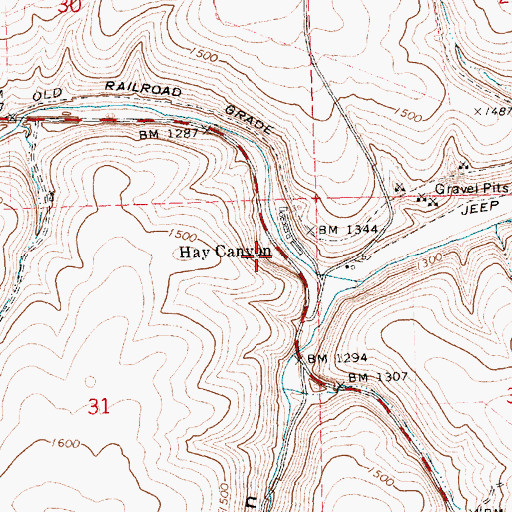 Topographic Map of Hay Canyon, OR