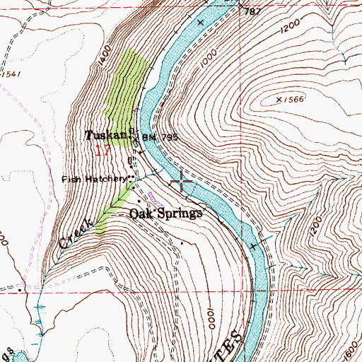 Topographic Map of Oak Springs (historical), OR