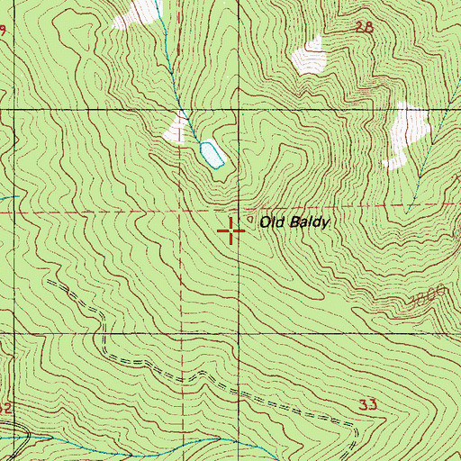 Topographic Map of Old Baldy, OR