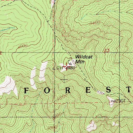 Topographic Map of Wildcat Mountain, OR