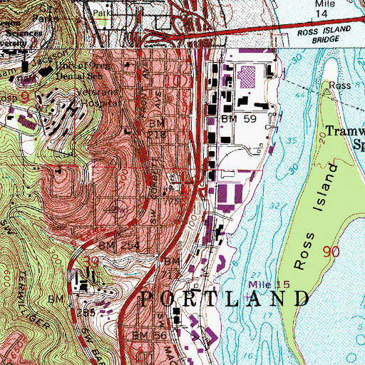 Topographic Map of Terwil (historical), OR