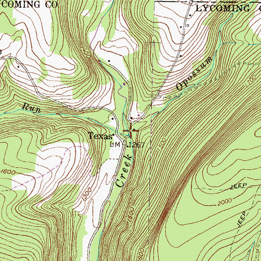 Topographic Map of Opossum Run, PA