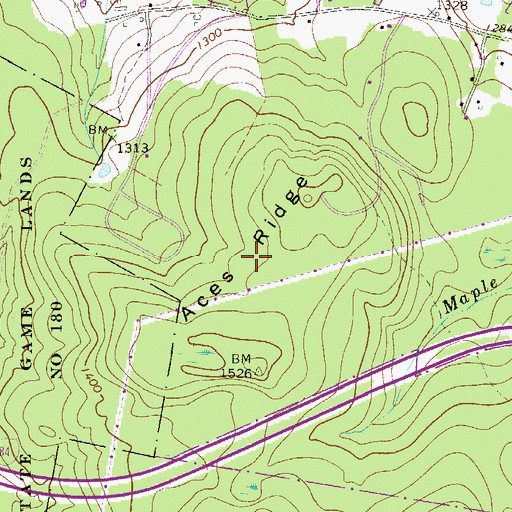 Topographic Map of Aces Ridge, PA