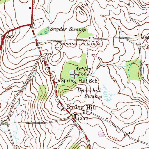 Topographic Map of Ackley Pond, PA