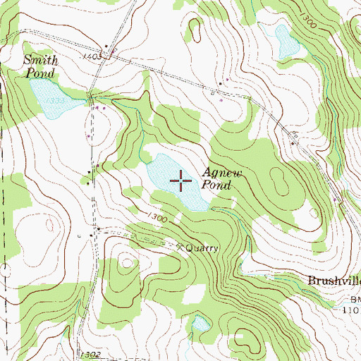 Topographic Map of Agnew Pond, PA