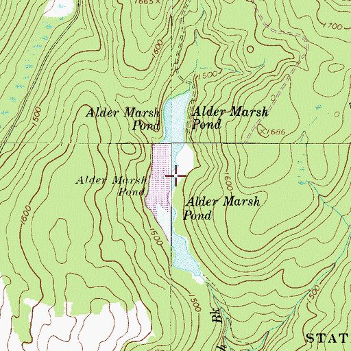 Topographic Map of Alder Marsh Pond, PA