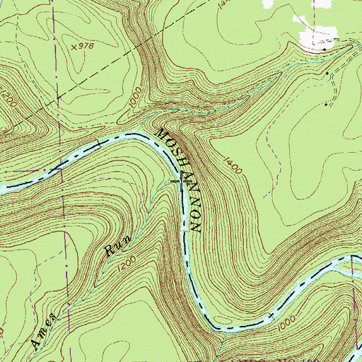 Topographic Map of Ames Run, PA
