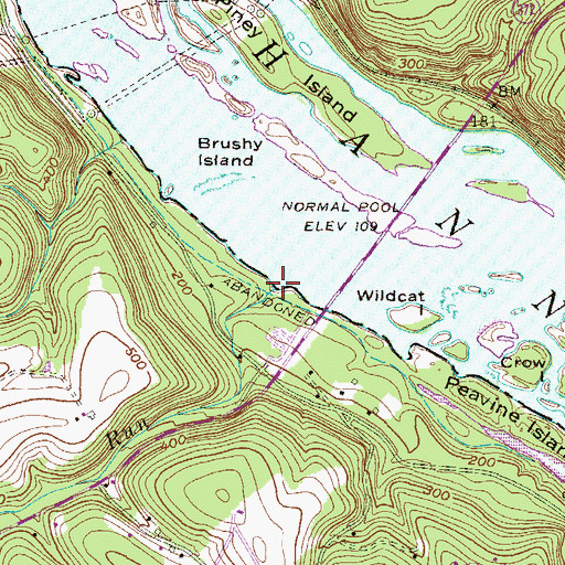 Topographic Map of Anderson Run, PA