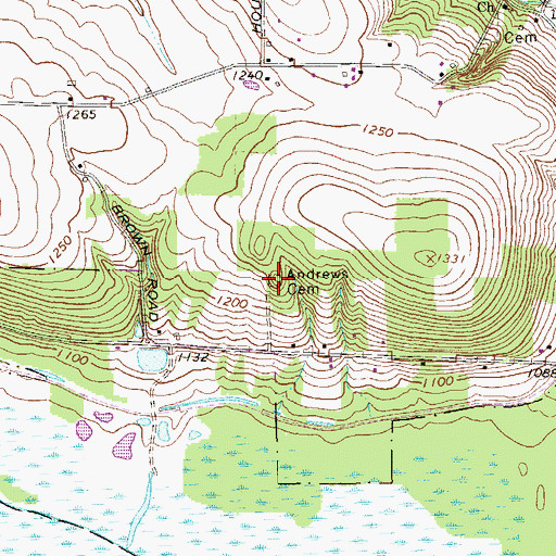 Topographic Map of Andrews Cemetery, PA