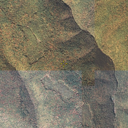Aerial/Satellite Image of Apple Tree Trail, PA