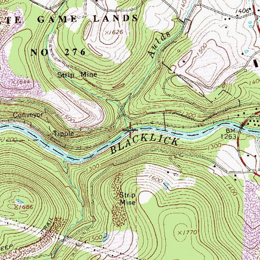 Topographic Map of Aulds Run, PA