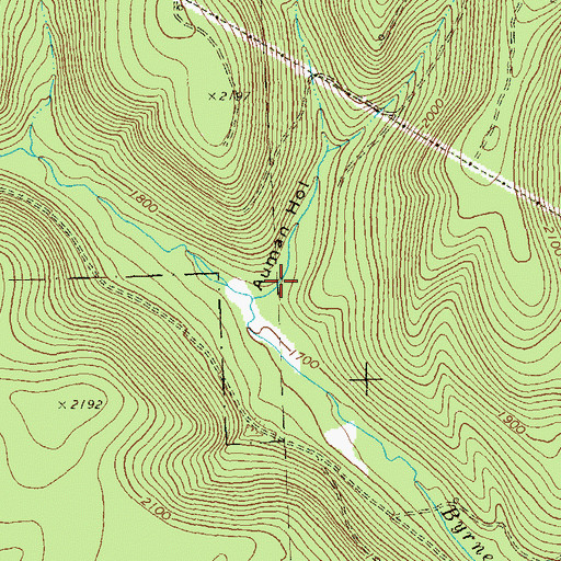 Topographic Map of Auman Hollow, PA