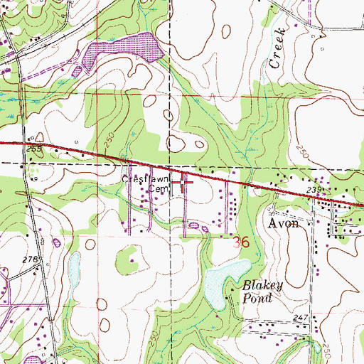 Topographic Map of Crestlawn Cemetery, AL