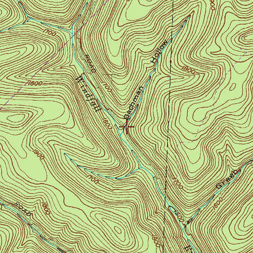 Topographic Map of Bachman Hollow, PA