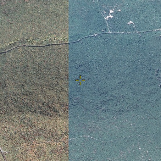 Aerial/Satellite Image of Baker Path, PA