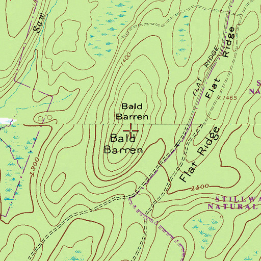 Topographic Map of Bald Barren, PA