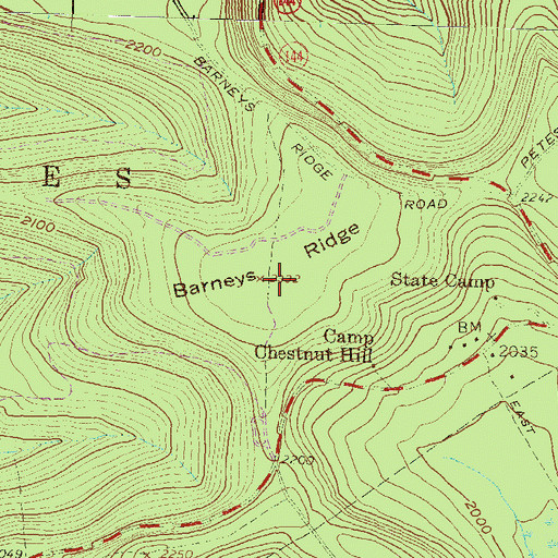Topographic Map of Barneys Ridge, PA