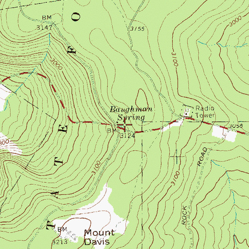 Topographic Map of Baughman Spring, PA
