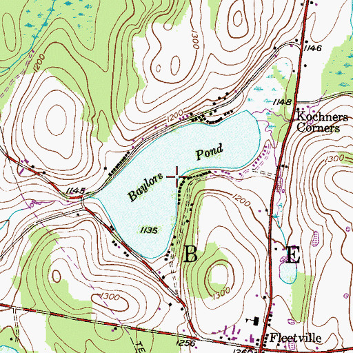 Topographic Map of Baylors Pond, PA