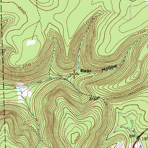 Topographic Map of Bear Hollow, PA