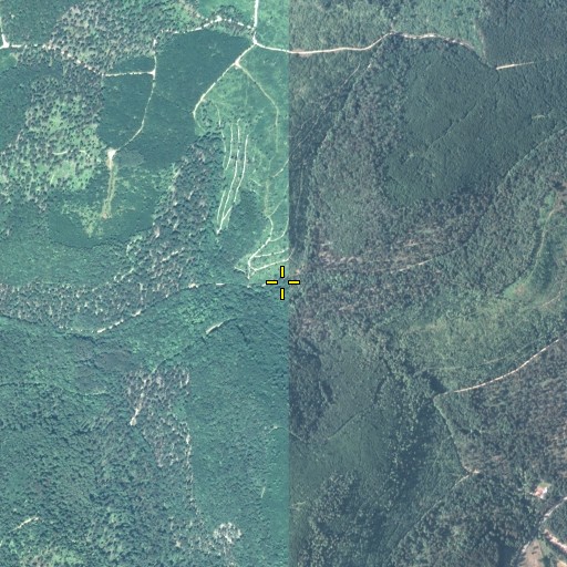 Aerial/Satellite Image of Bear Hollow, PA