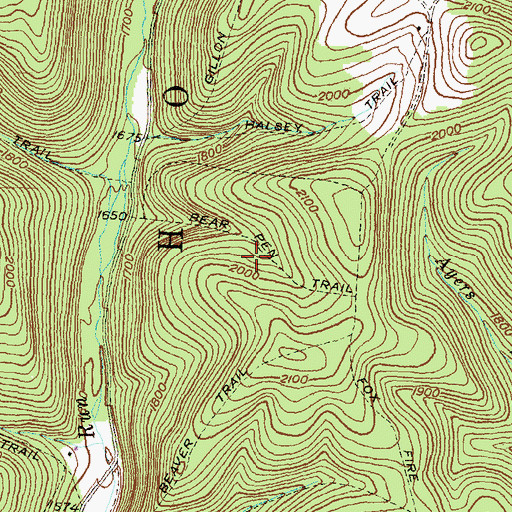 Topographic Map of Bear Pen Trail, PA