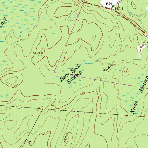 Topographic Map of Bear Rock Swamp, PA