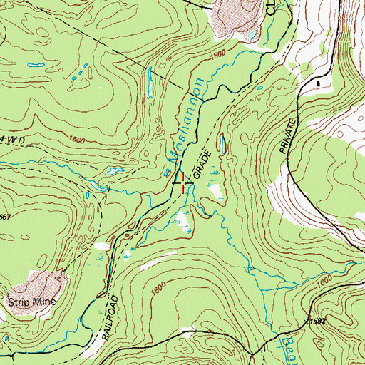 Topographic Map of Bear Run, PA