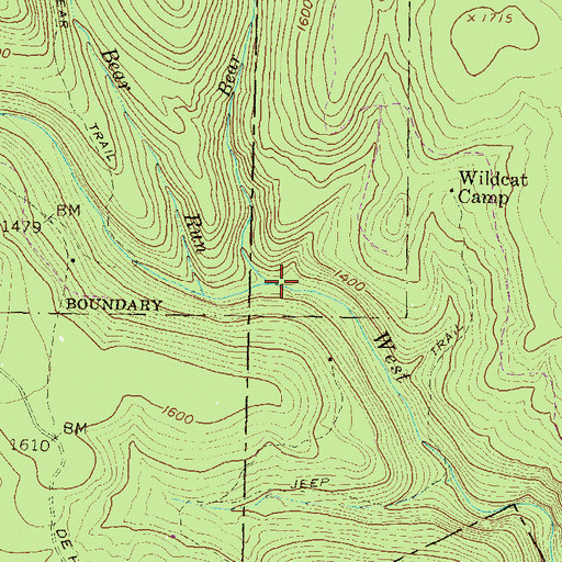 Topographic Map of Bear Run, PA