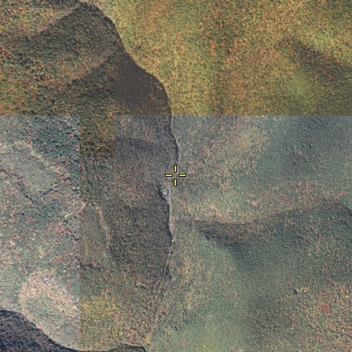 Aerial/Satellite Image of Bear Run, PA