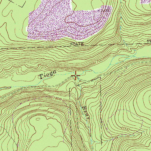 Topographic Map of Bear Run, PA