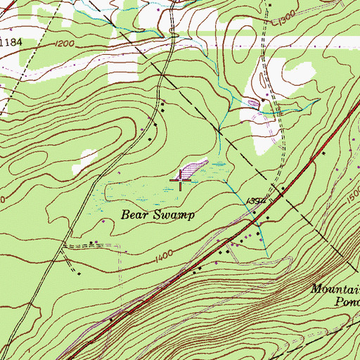 Topographic Map of Bear Swamp, PA