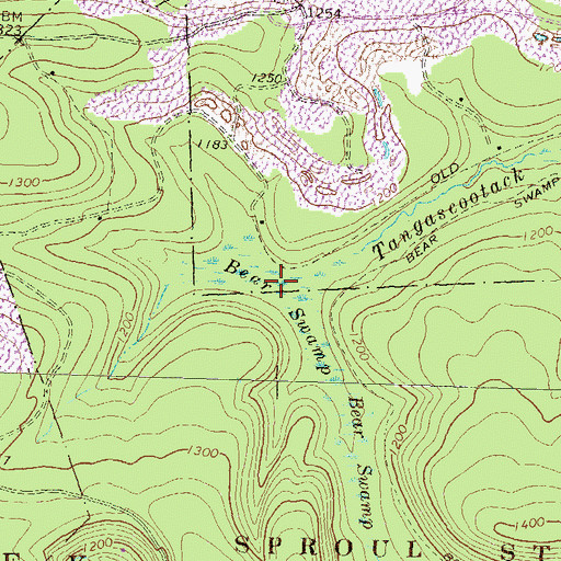 Topographic Map of Bear Swamp, PA