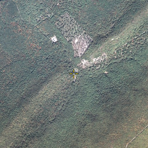 Aerial/Satellite Image of Bear Valley, PA