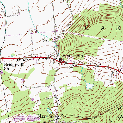 Topographic Map of Beartown, PA