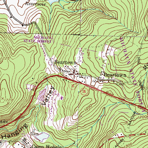 Topographic Map of Beartown, PA