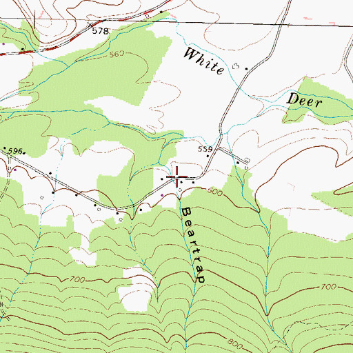 Topographic Map of Beartrap Hollow, PA